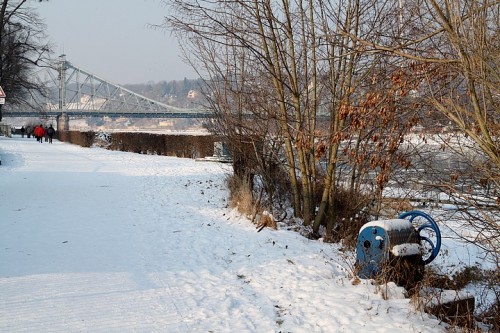 dresden, allemagne, saxe, elbe, balade, promenade, neige, givre, glace, animaux, blaues wunder